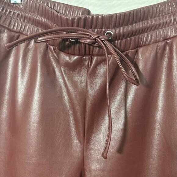 LOFT Women's Faux Leather Brown Pull On Lined Straight Pants With Pockets Sz L - Picture 4 of 11